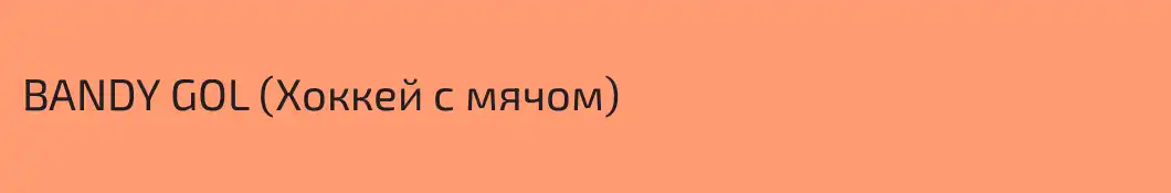 BANDY GOL (Хоккей с мячом)